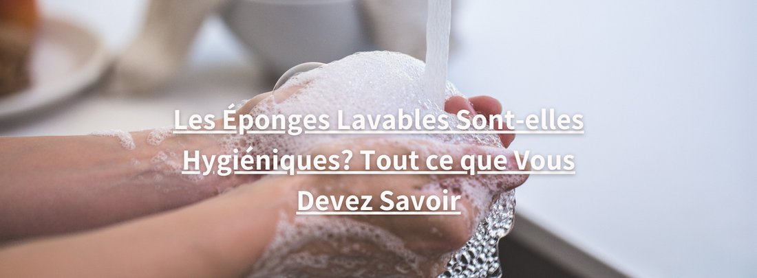 Les Éponges Lavables Sont-elles Hygiéniques? Tout ce que Vous Devez Savoir