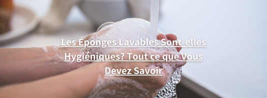 Les Éponges Lavables Sont-elles Hygiéniques? Tout ce que Vous Devez Savoir