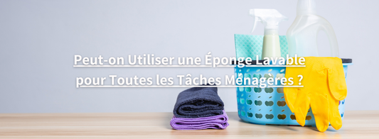 Eponge lavable