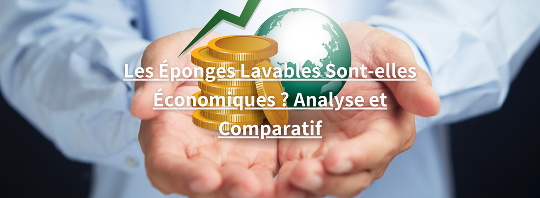 Eponge lavable