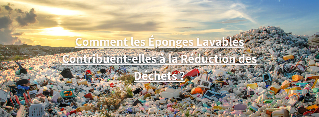 Eponge lavable