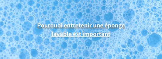 Pourquoi entretenir une éponge lavable est important