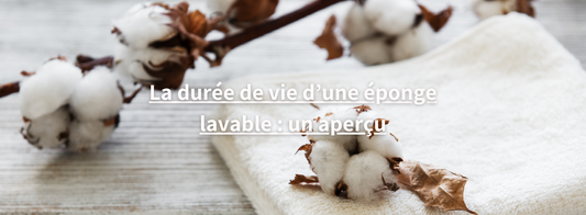 Eponge lavable
