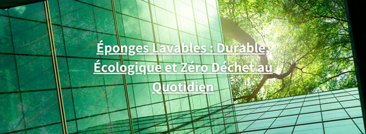 Eponge lavable - Magazine éco-responsable