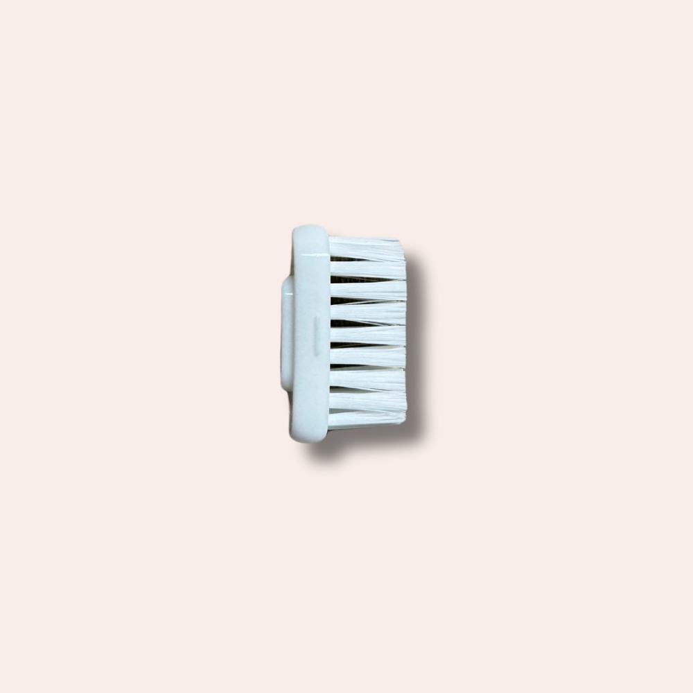 Brosse à dents écologique