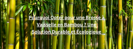 Brosse à vaisselle en bambou