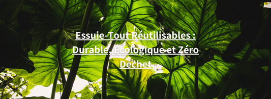 Essuie-tout réutilisable - Magazine éco-responsable