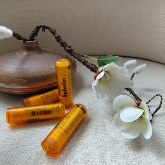 Baume à Lèvres Protecteur SPF 20 — Dr. Fukuj