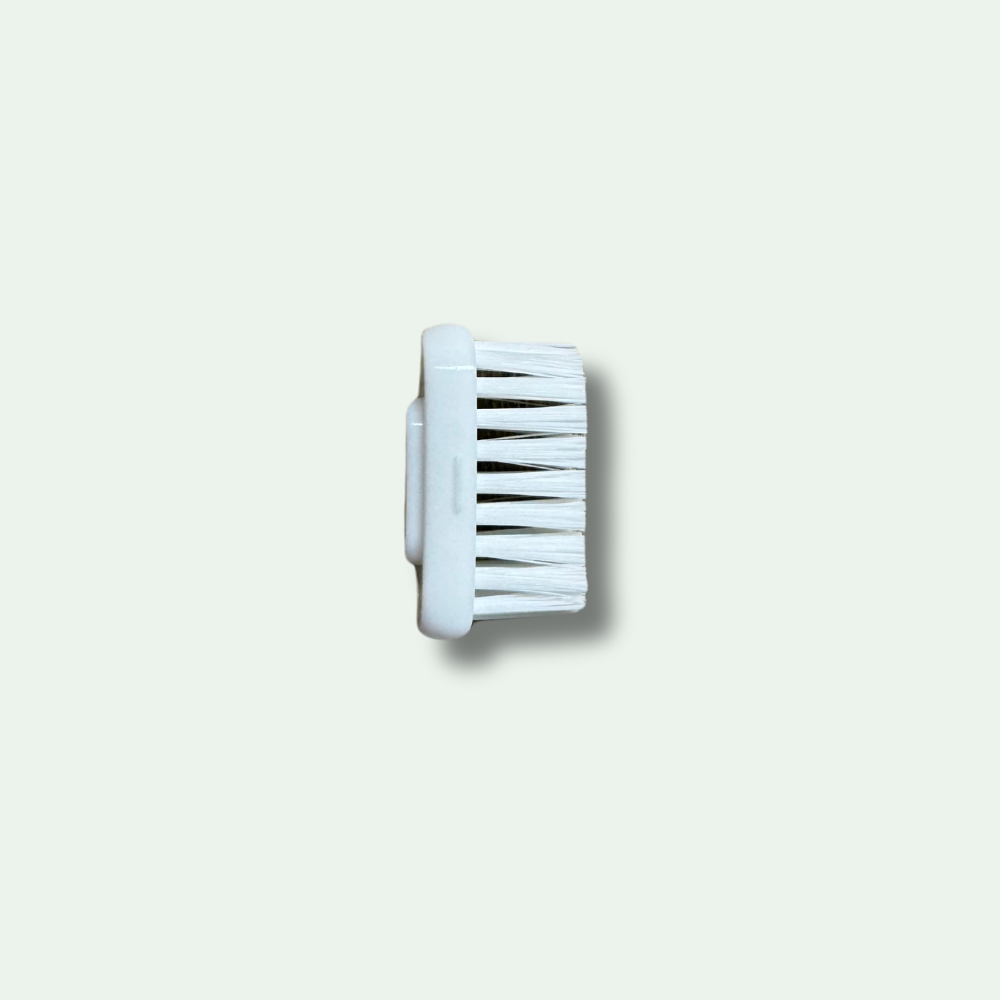Recharge | Tête pour brosse à dents - La Vie verte